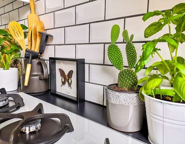 White Subway Tile Kitchen Backsplash With Black Grout Background